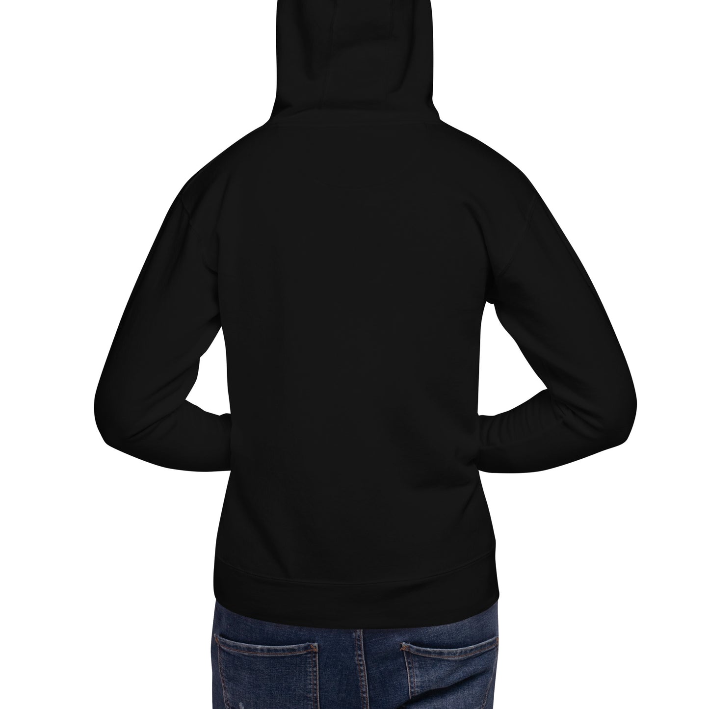 DS // Men's Embroidered Hoodie