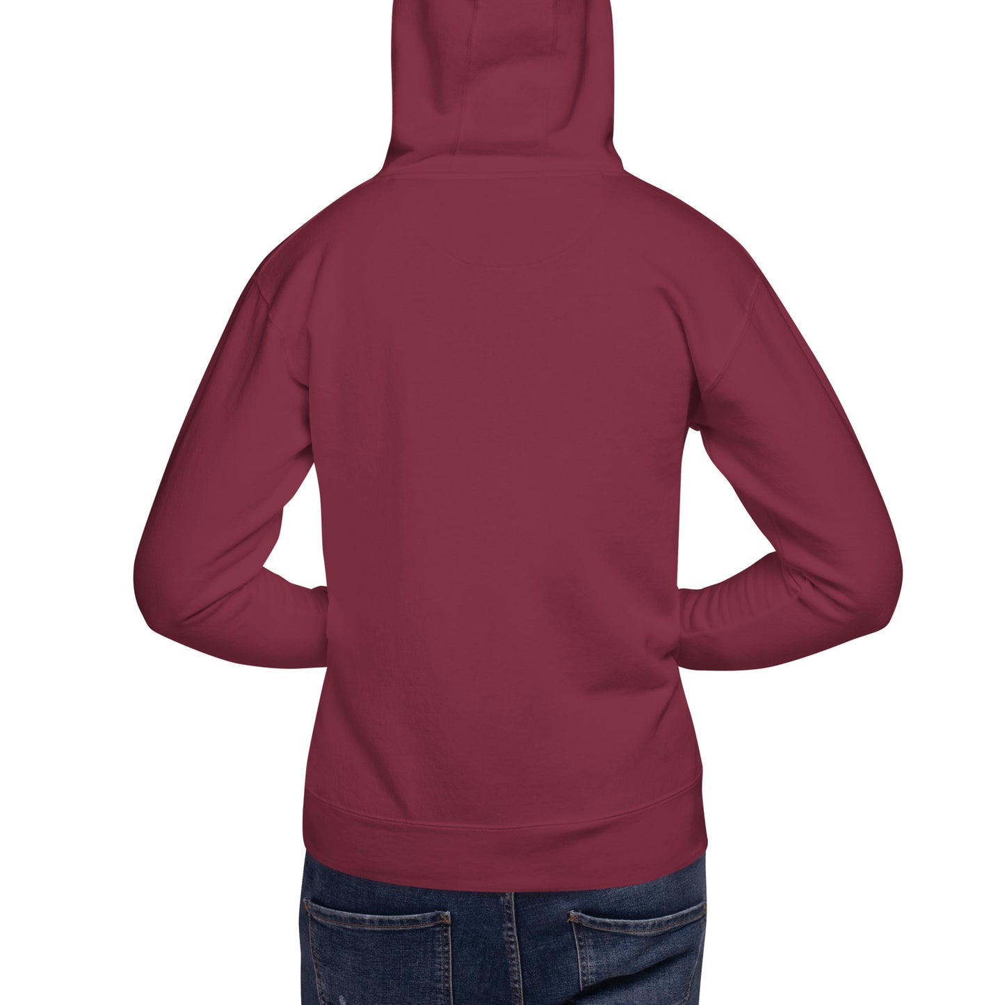 DS // Men's Embroidered Hoodie