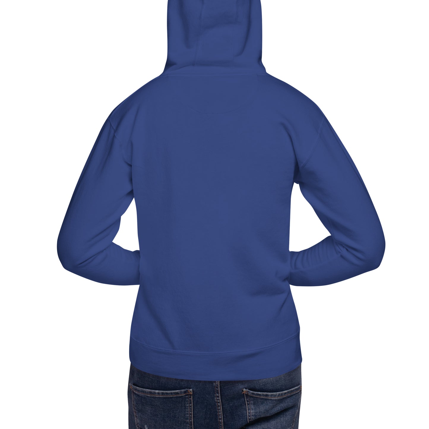 DS // Men's Embroidered Hoodie