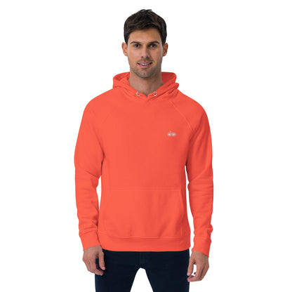 DS// Men's Embroidered Eco Raglan Hoodie