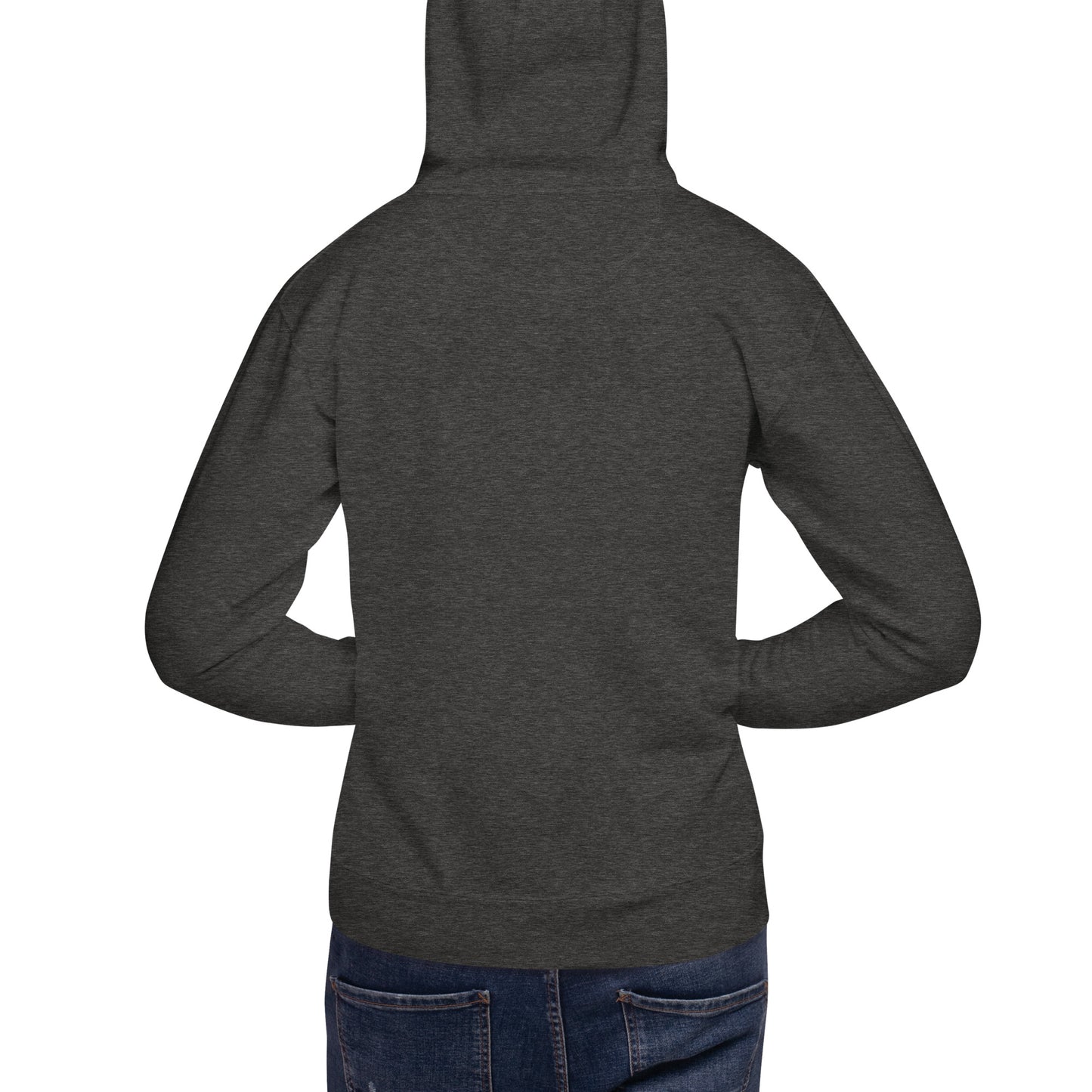 DS // Men's Embroidered Hoodie