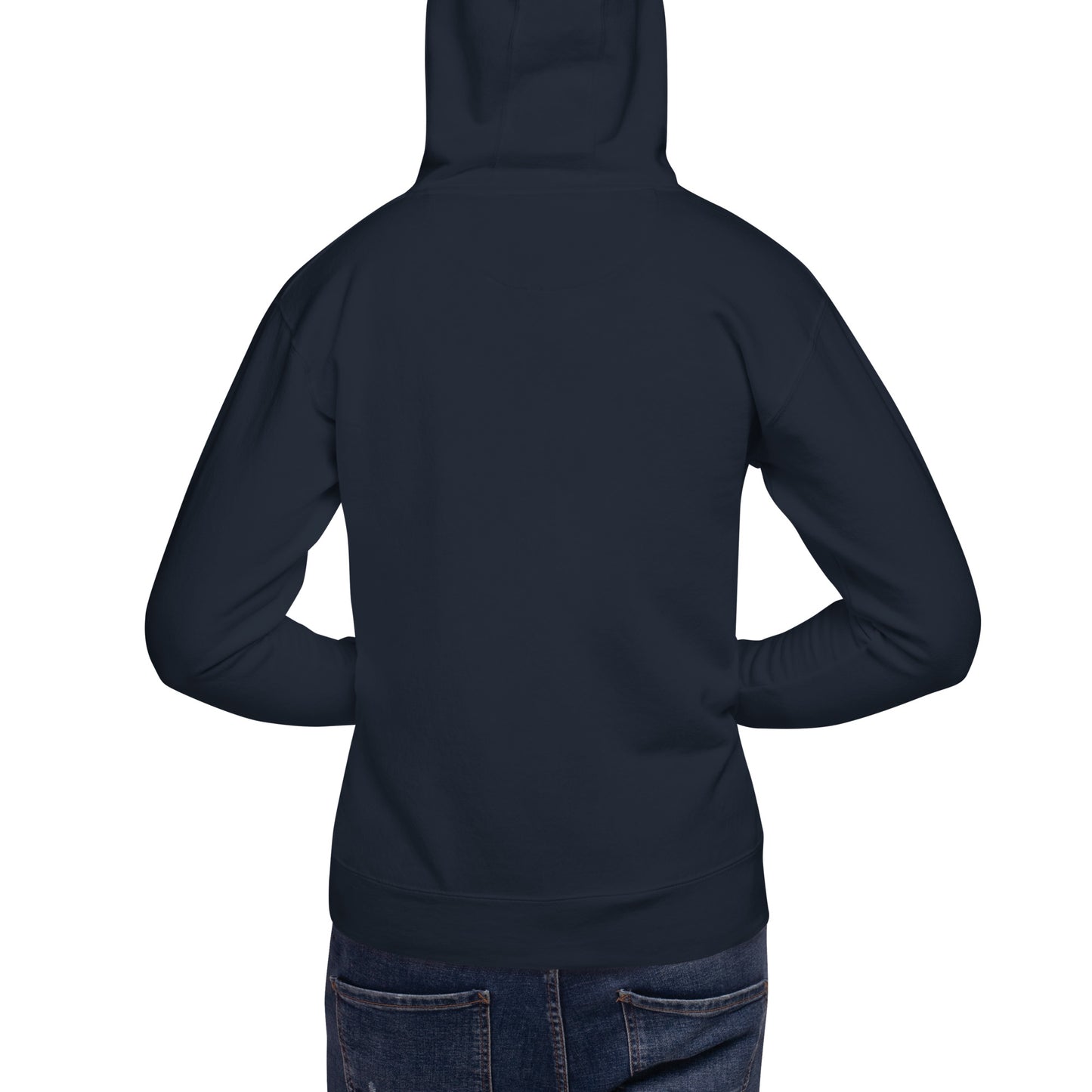 DS // Men's Embroidered Hoodie