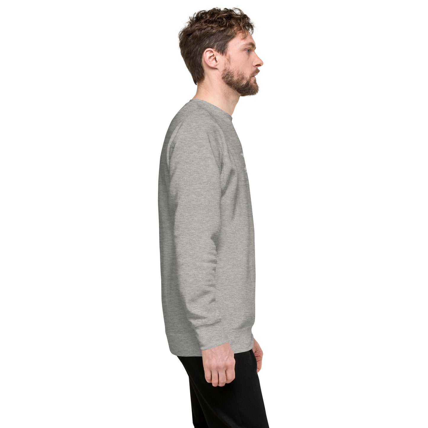 DS // Men's Embroidered Premium Sweatshirt