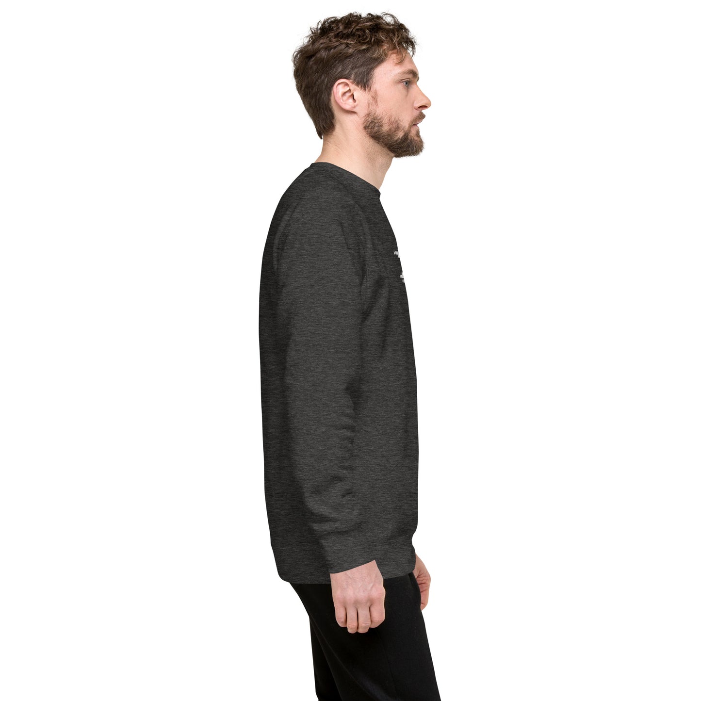 DS // Men's Embroidered Premium Sweatshirt